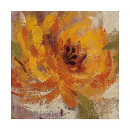 Silvia Vassileva 'Fiery Dahlias I Crop' Canvas Art,35x35